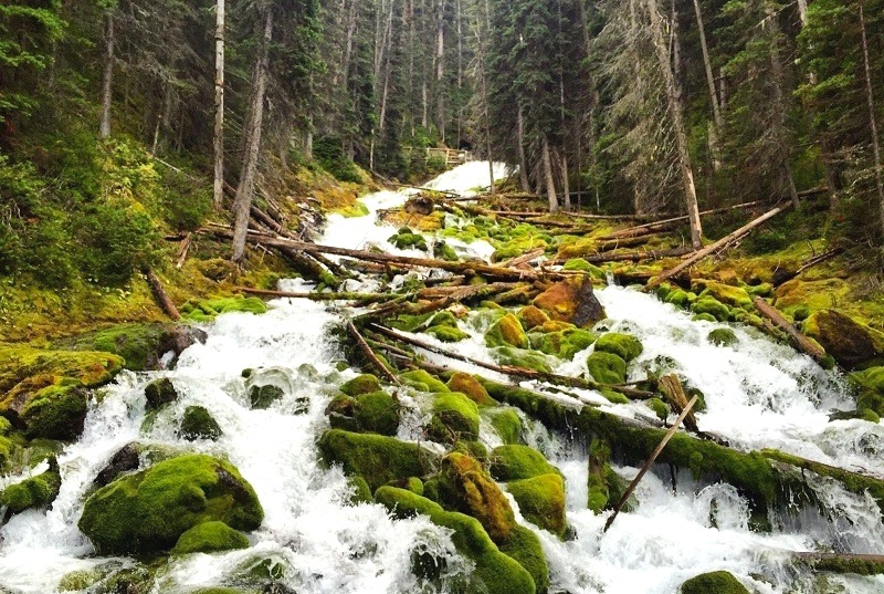 Karst Spring Trail