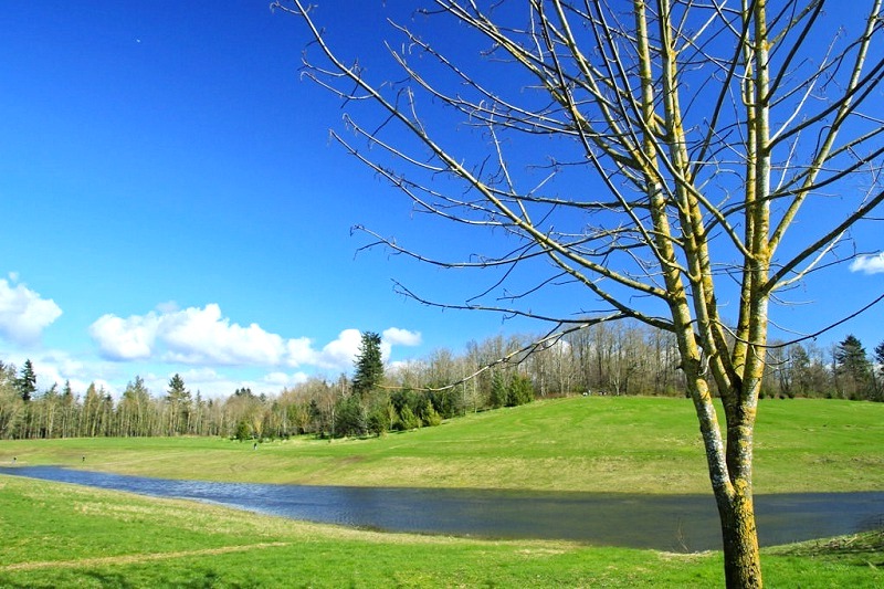 Pepin Brook Trail