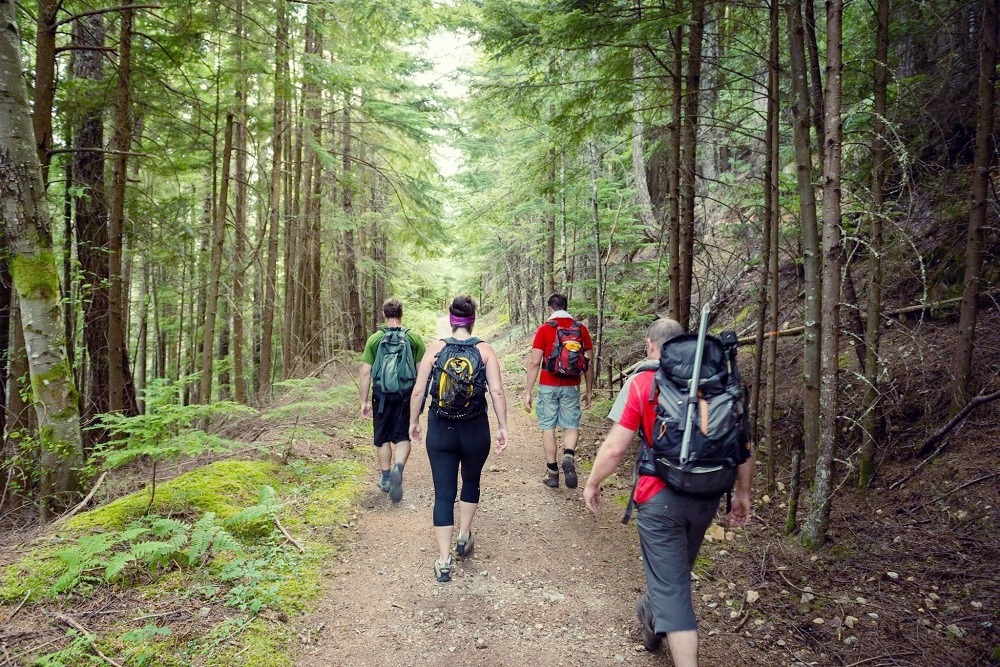 the most popular walking trails in Canada